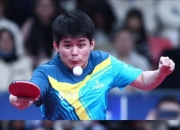 莱万多夫斯基新星晋级下一阶段表现突出，法国队前途光明！