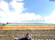 国际足球盛事中女性选手积极备战，努力冲刺胜利的简单介绍